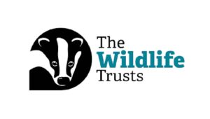 Wildlife Trust Internship Wildlife Trust Internship