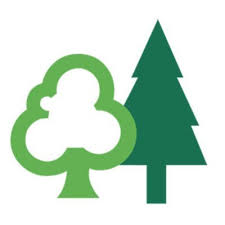 Forestry Commission Internship Forestry Commission Internship