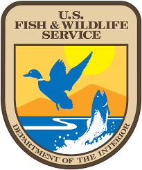 U.S. Fish And Wildlife Internship U.S. Fish And Wildlife Internship